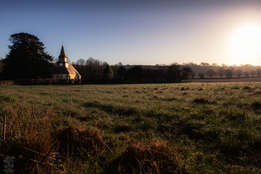 A golden hour sunrise photograph of a church in theA close up of a mossy tree trunk in the Ashford Hangers National Nature Reserve.