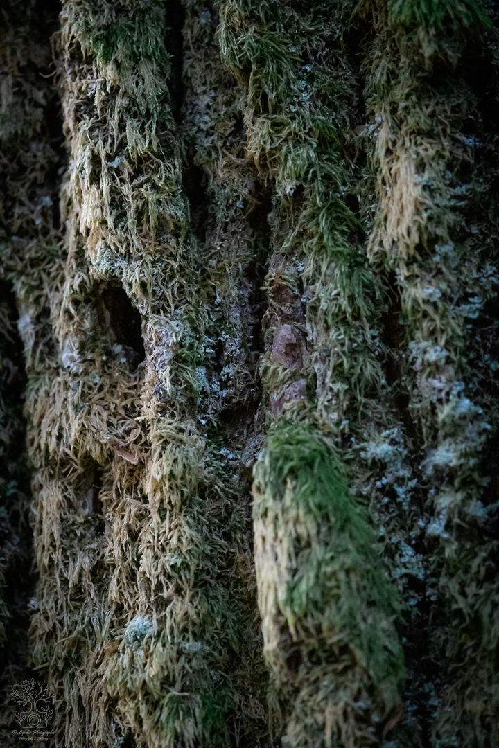 20250923-IMG_1608