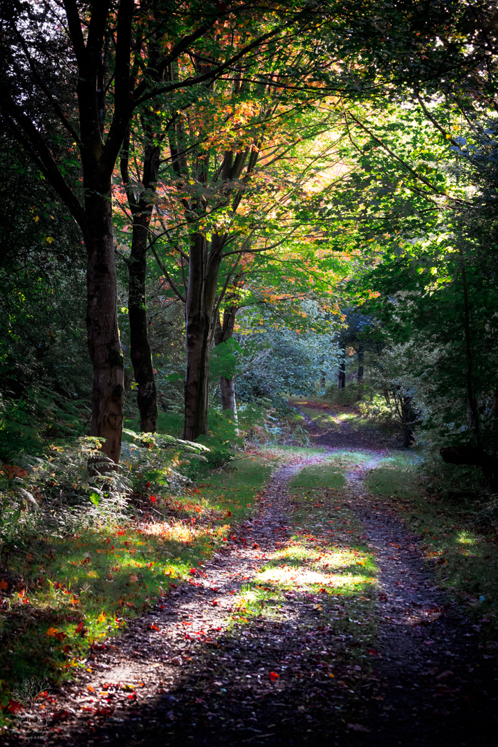 20250923-IMG_1635-Edit