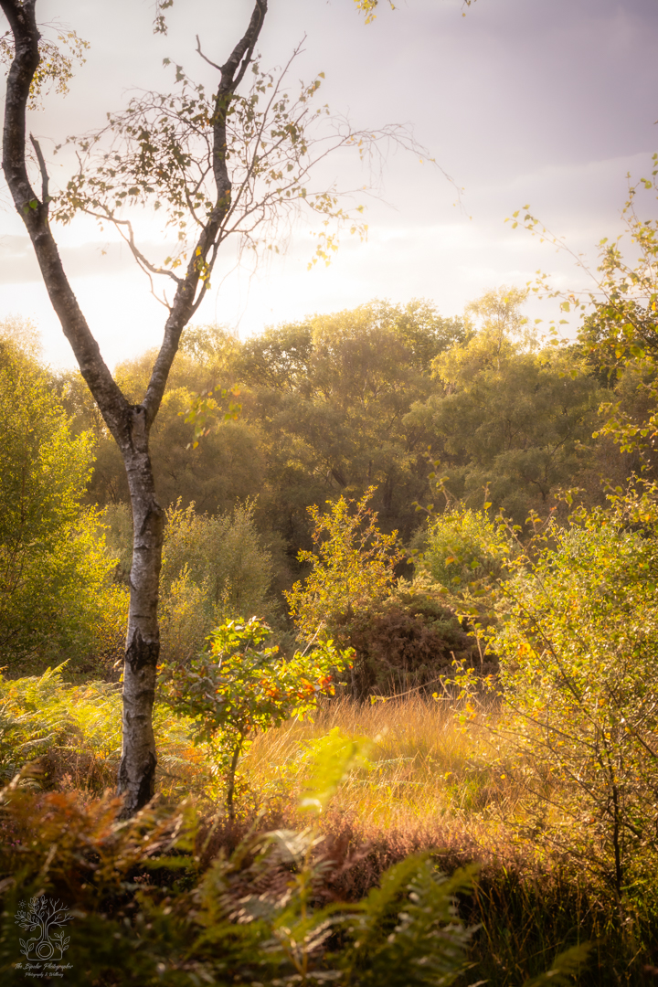 20250923-IMG_1642-Edit