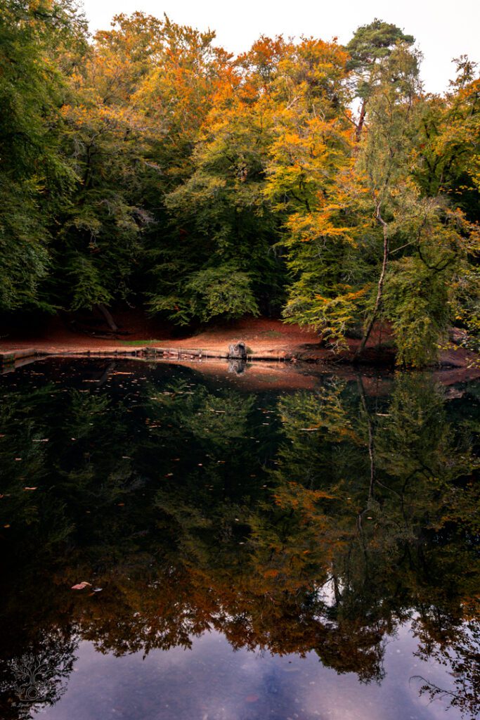 Giclée Print - The Reflecting Pool