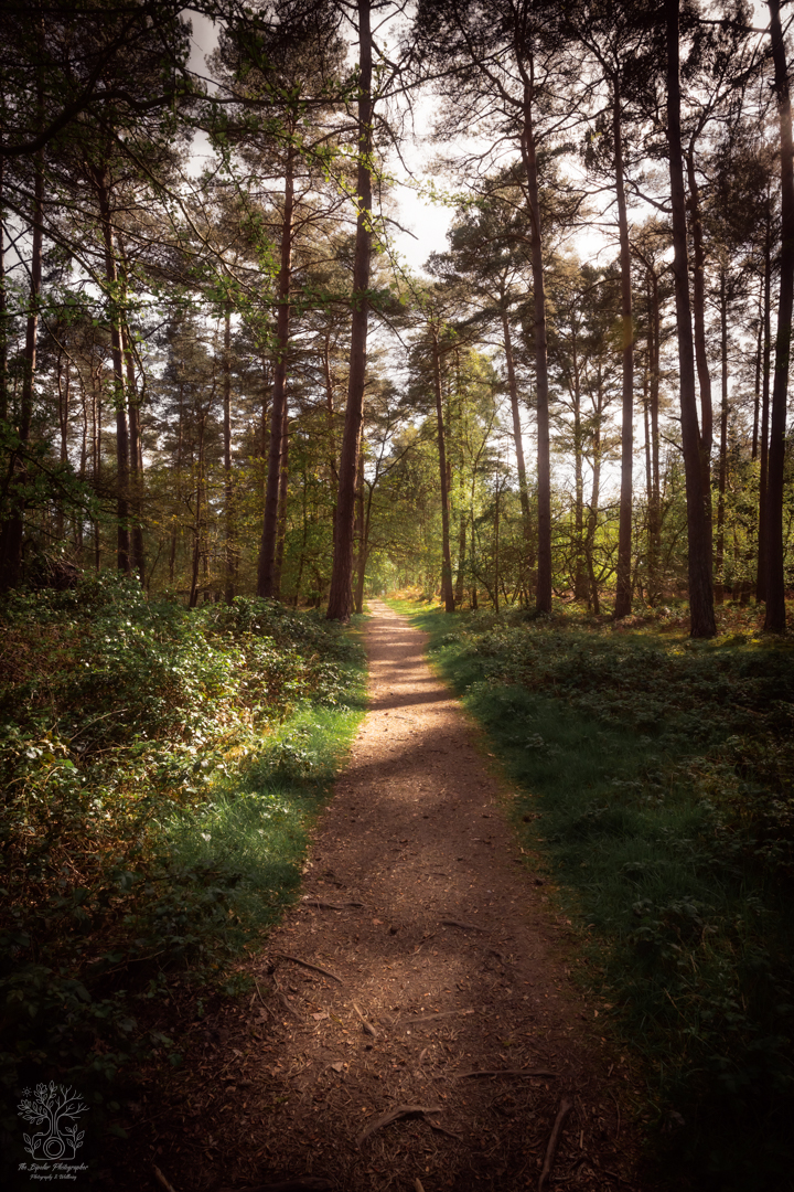 April 18, 2026_Bordon_IMG_4709-Edit