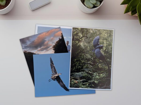 The Bipolar Photographer - Fine Art Print Services