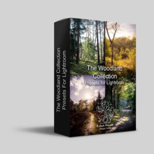 The Woodland Collection - Lightroom prests box mockup.