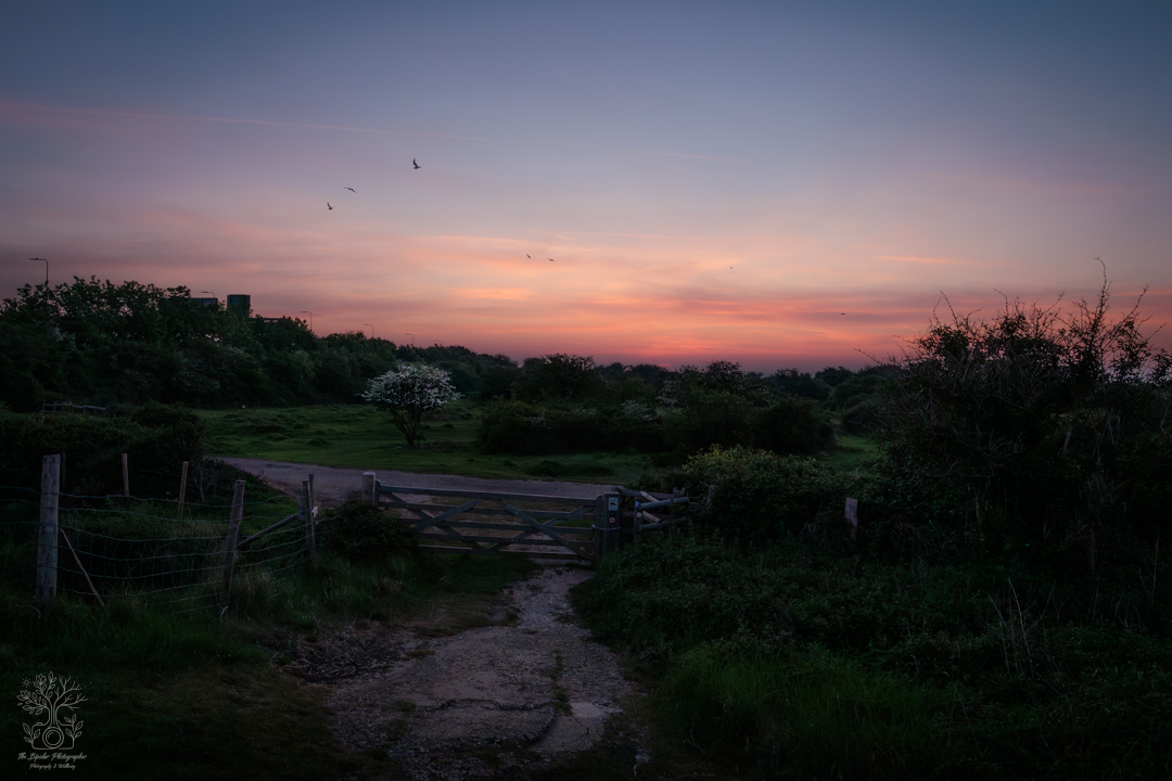 May 09, 2026_Farlington Marshes_IMG_5018-Edit